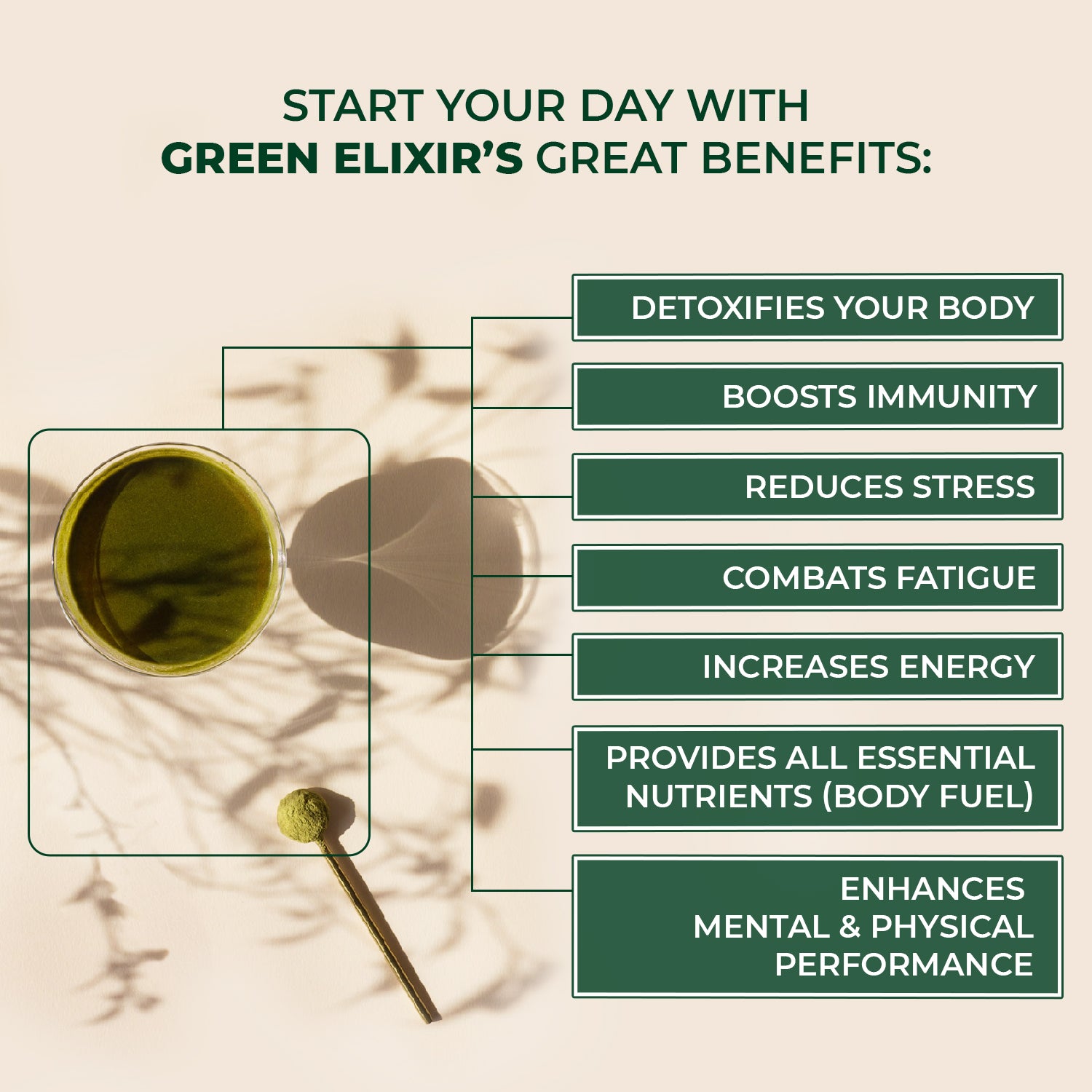 Green Elixir | Supplement with Antioxidants for Immunity | Allkme